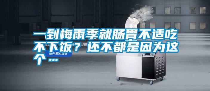 一到梅雨季就腸胃不適吃不下飯?還不都是因為這個…