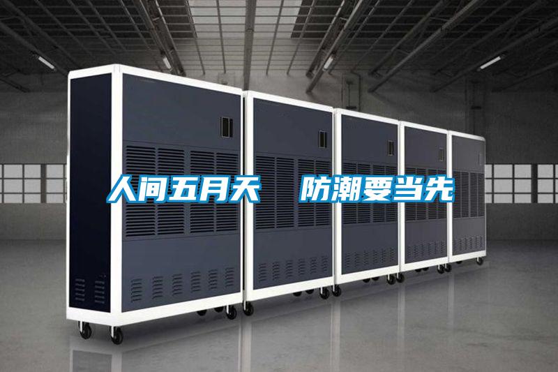 人間五月天 防潮要當先