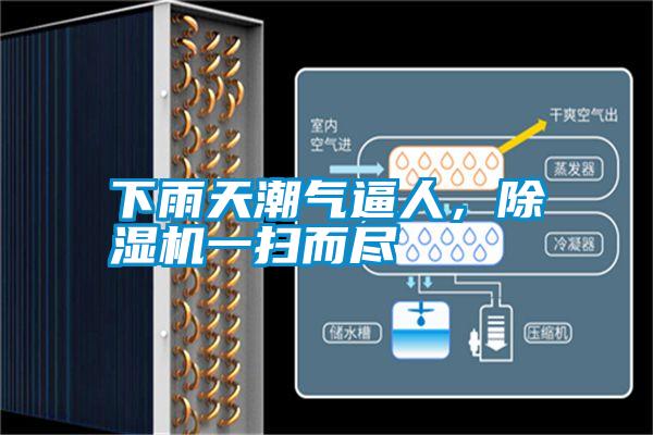 下雨天潮氣逼人,除濕機(jī)一掃而盡