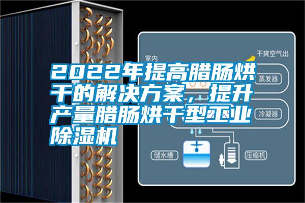 2022年提高臘腸烘干的解決方案,提升產量臘腸烘干型工業(yè)除濕機
