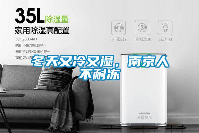 冬天又冷又濕，南京人不耐凍