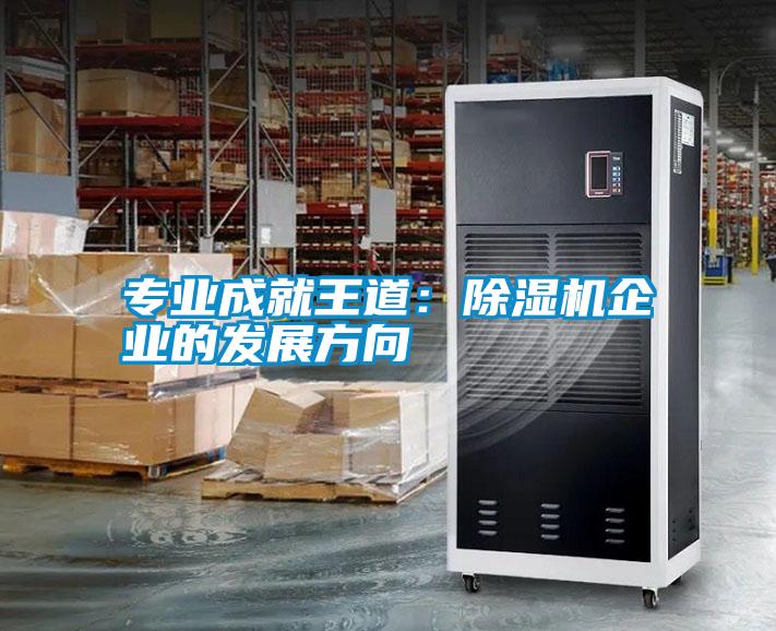 專業(yè)成就王道:除濕機(jī)企業(yè)的發(fā)展方向