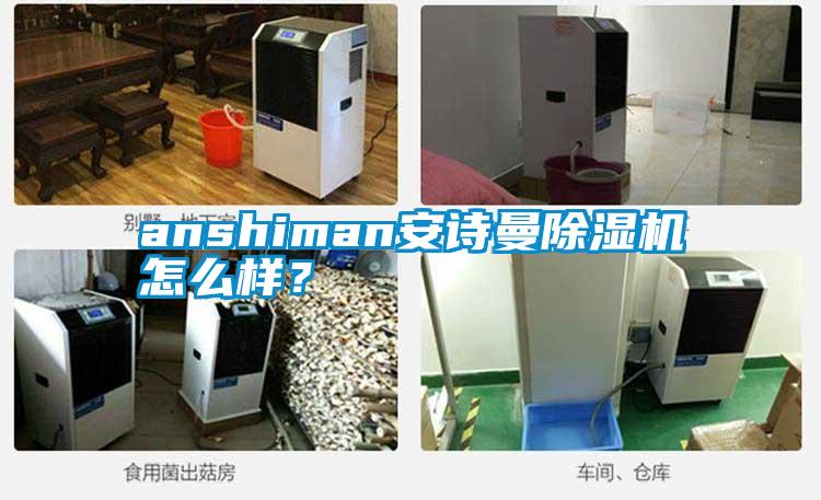 anshiman安詩曼除濕機怎么樣?