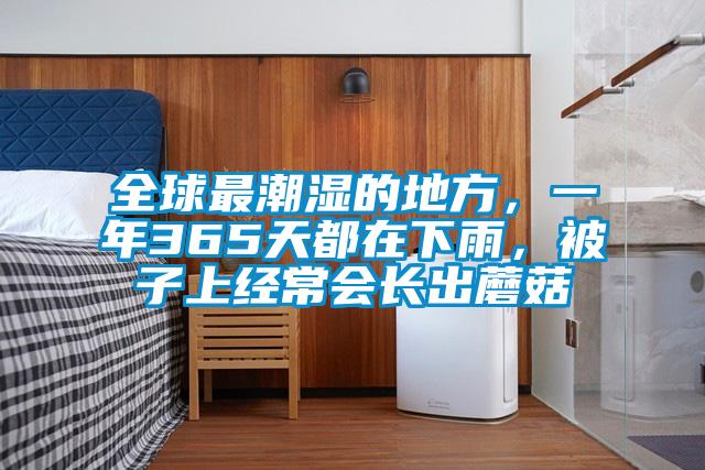 全球最潮濕的地方,一年365天都在下雨,被子上經(jīng)常會(huì)長(zhǎng)出蘑菇