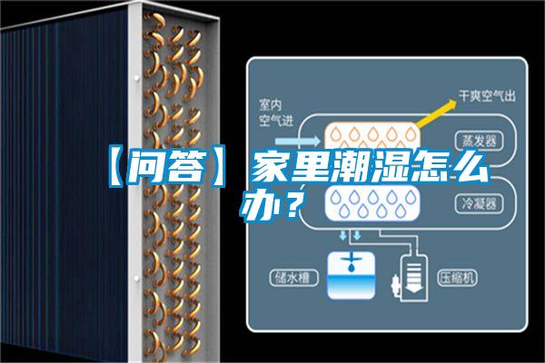 【問(wèn)答】家里潮濕怎么辦?