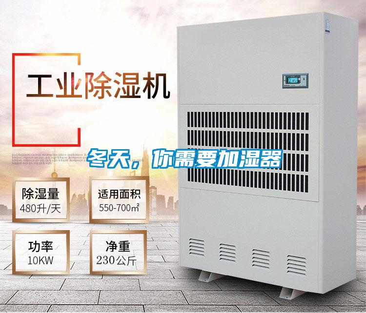 冬天,你需要加濕器