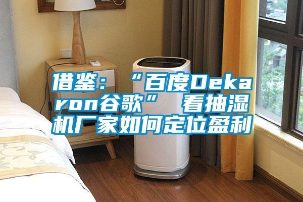 借鑒:“百度Dekaron谷歌” 看抽濕機廠家如何定位盈利