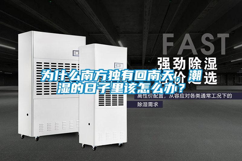 為什么南方獨(dú)有回南天，潮濕的日子里該怎么辦？