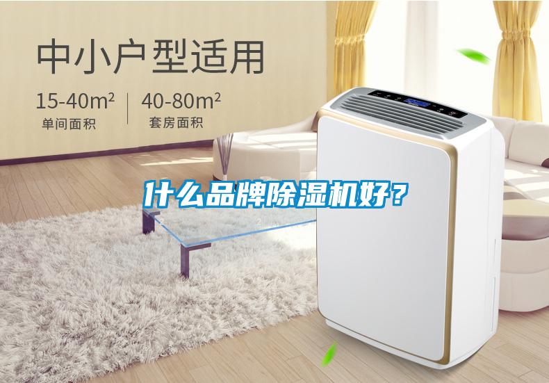 什么品牌除濕機(jī)好?