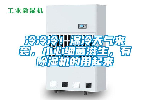 冷冷冷!濕冷天氣來襲,小心細菌滋生,有除濕機的用起來