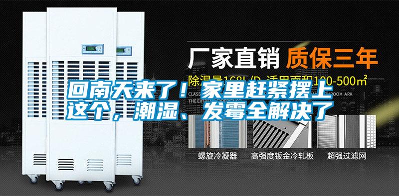 回南天來(lái)了!家里趕緊擺上這個(gè),潮濕、發(fā)霉全解決了