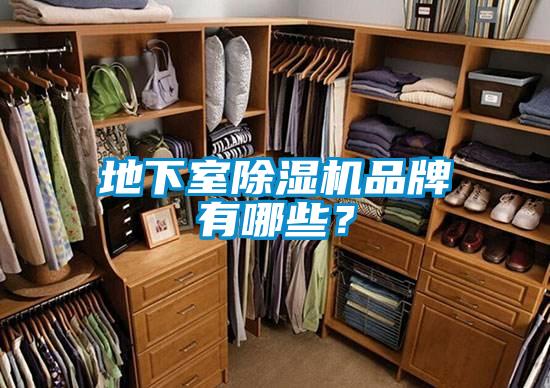 地下室除濕機(jī)品牌有哪些?