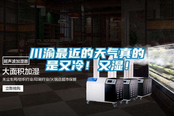 川渝最近的天氣真的是又冷！又濕！