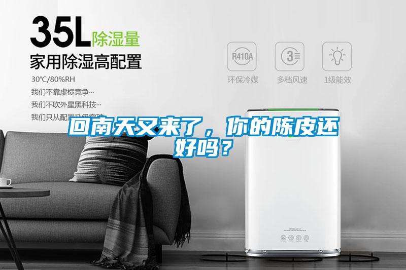 回南天又來(lái)了,你的陳皮還好嗎?