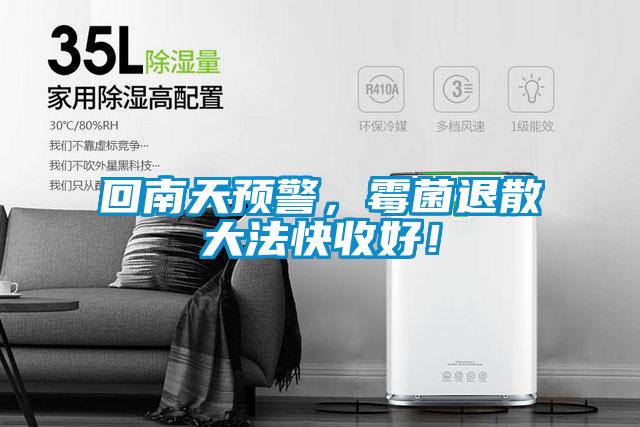 回南天預警，霉菌退散大法快收好！