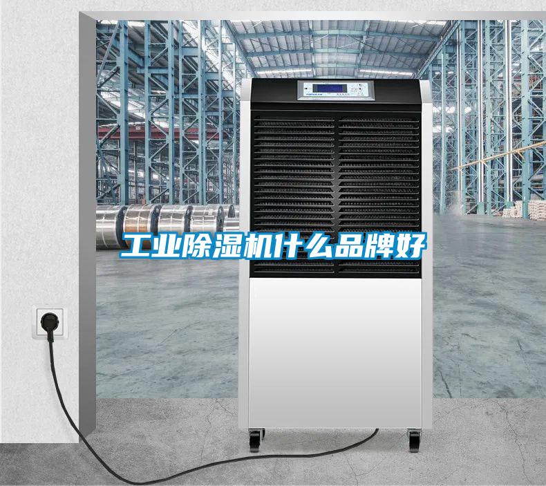 工業除濕機什么品牌好