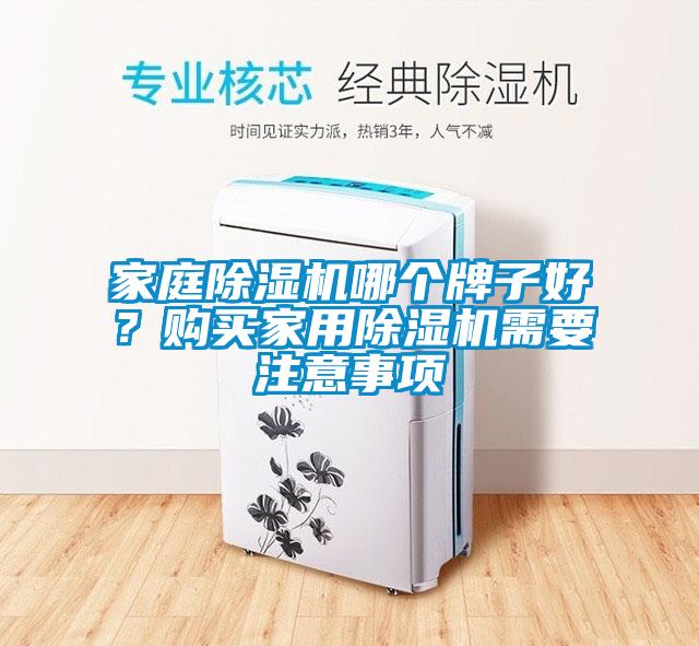 家庭除濕機哪個牌子好？購買家用除濕機需要注意事項