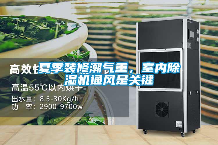 夏季裝修潮氣重，室內(nèi)除濕機(jī)通風(fēng)是關(guān)鍵