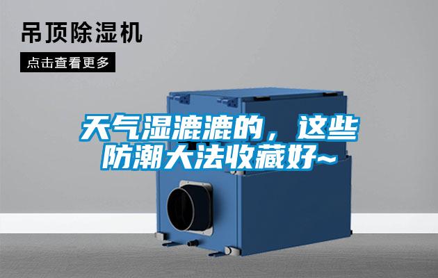 天氣濕漉漉的,這些防潮大法收藏好~