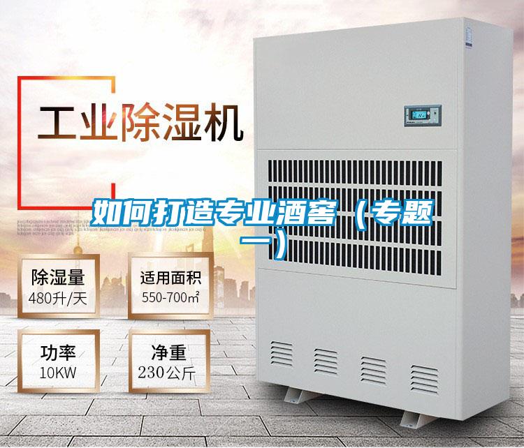 如何打造專業酒窖(專題一)