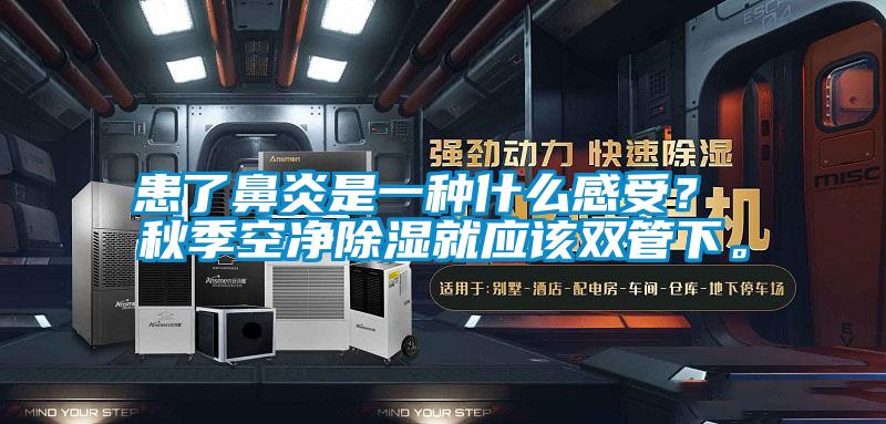患了鼻炎是一種什么感受? 秋季空凈除濕就應(yīng)該雙管下。