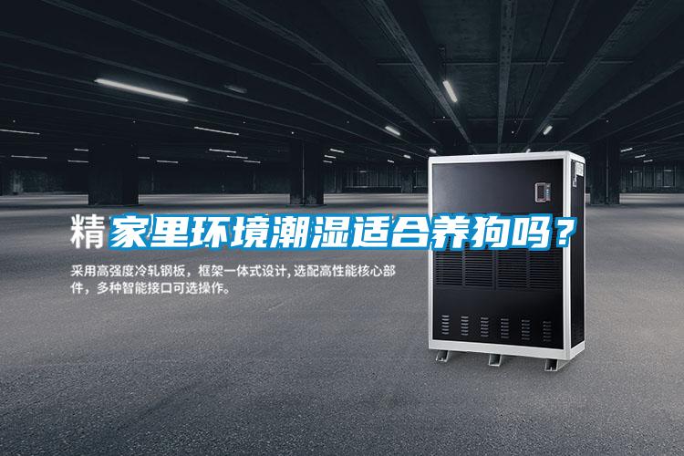 家里環(huán)境潮濕適合養(yǎng)狗嗎?
