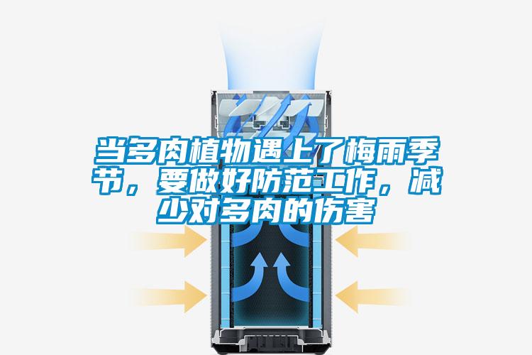 當多肉植物遇上了梅雨季節，要做好防范工作，減少對多肉的傷害