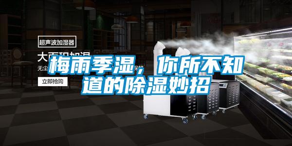 梅雨季濕，你所不知道的除濕妙招