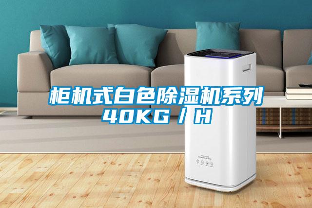 柜機式白色除濕機系列40KG/H