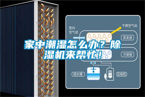 家中潮濕怎么辦？除濕機來幫忙！