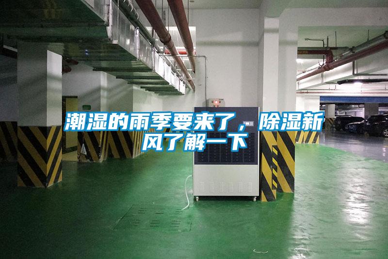 潮濕的雨季要來了，除濕新風了解一下