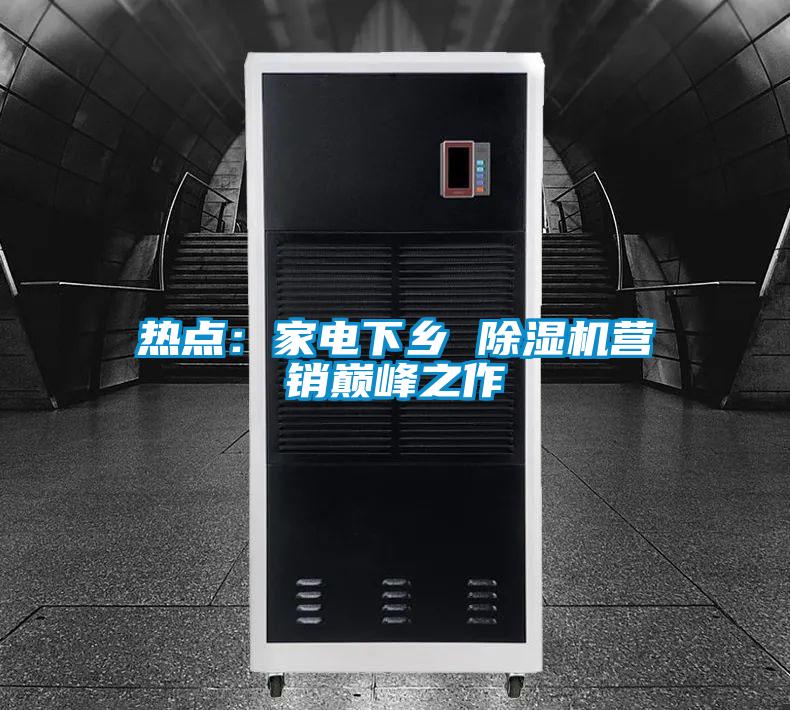 熱點(diǎn):家電下鄉(xiāng) 除濕機(jī)營(yíng)銷巔峰之作
