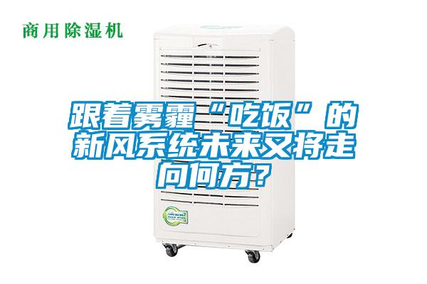 跟著霧霾“吃飯”的新風(fēng)系統(tǒng)未來又將走向何方?