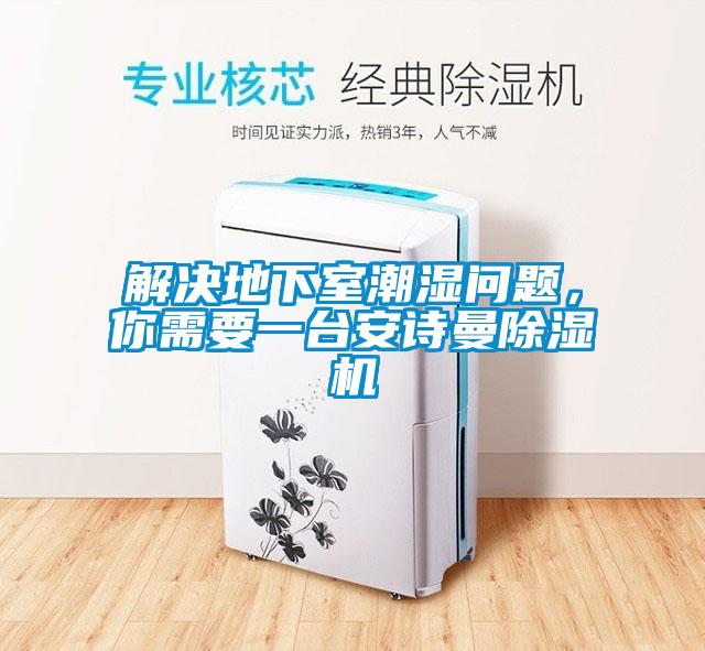 解決地下室潮濕問題，你需要一臺安詩曼除濕機