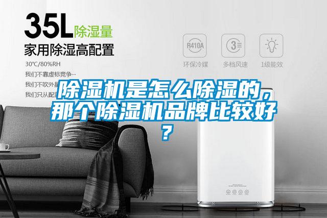 除濕機是怎么除濕的，那個除濕機品牌比較好？