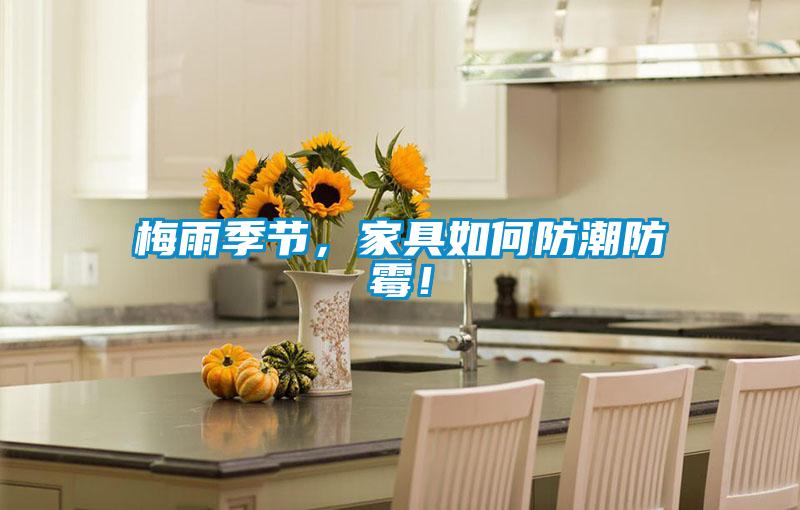 梅雨季節,家具如何防潮防霉!