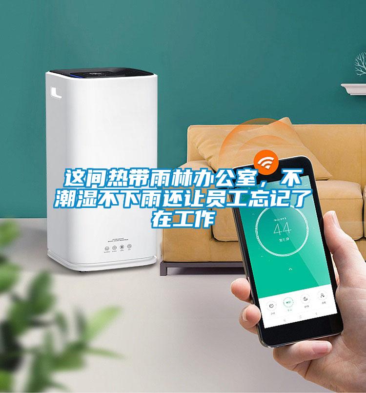 這間熱帶雨林辦公室，不潮濕不下雨還讓員工忘記了在工作