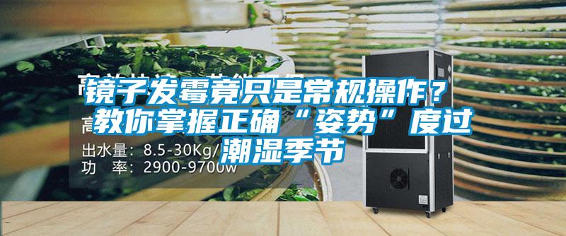 鏡子發(fā)霉竟只是常規(guī)操作? 教你掌握正確“姿勢”度過潮濕季節(jié)