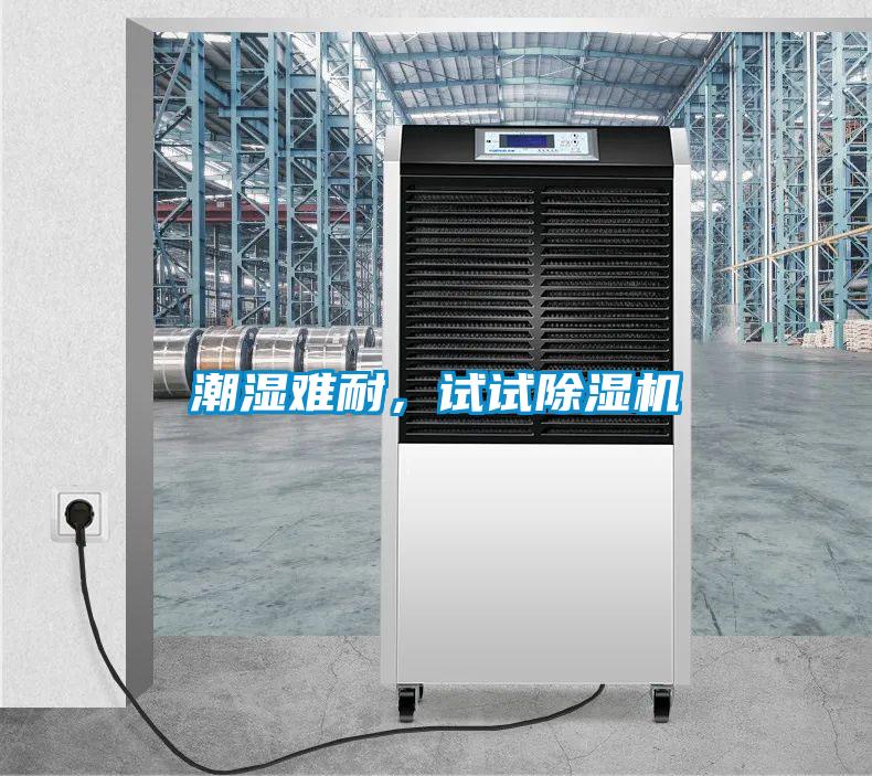 潮濕難耐,試試除濕機