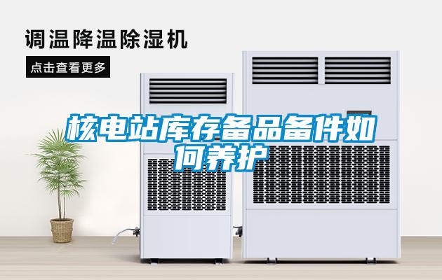 核電站庫存?zhèn)淦穫浼绾勿B(yǎng)護(hù)