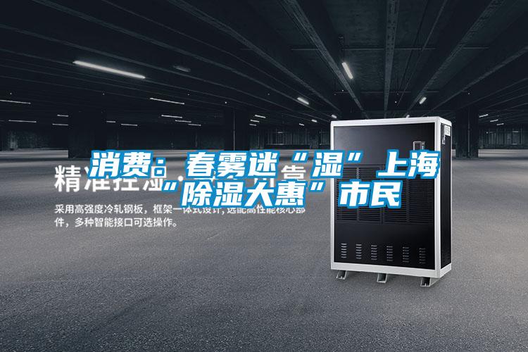 消費:春霧迷“濕”上海 “除濕大惠”市民