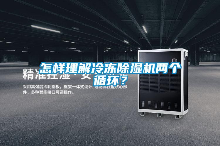 怎樣理解冷凍除濕機兩個循環？