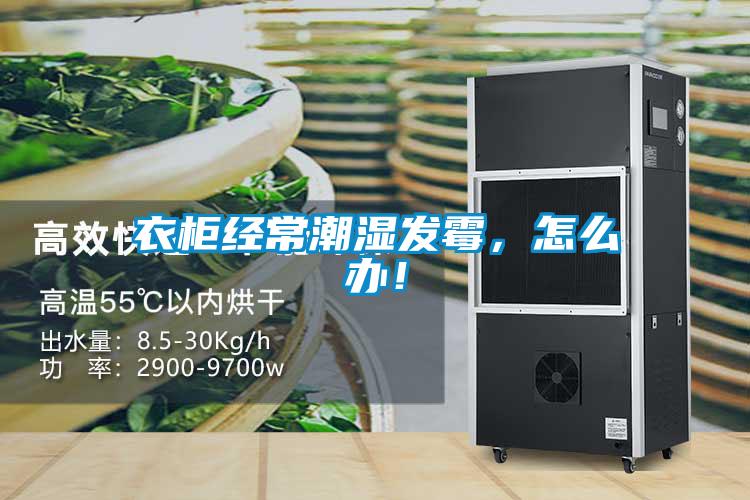 衣柜經常潮濕發霉,怎么辦!