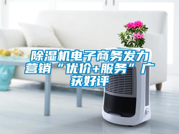 除濕機(jī)電子商務(wù)發(fā)力營銷“優(yōu)價(jià)+服務(wù)”廣獲好評