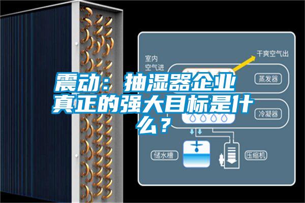 震動：抽濕器企業 真正的強大目標是什么？