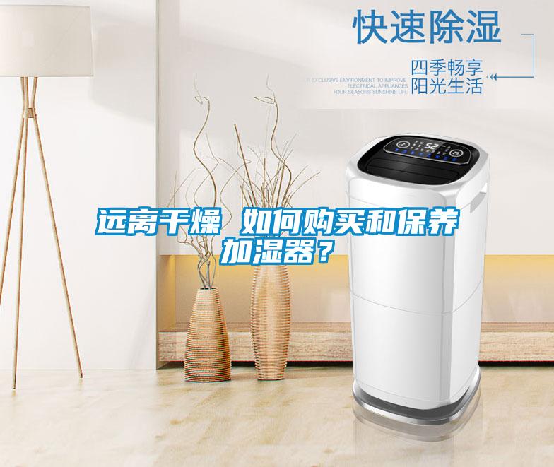 遠離干燥 如何購買和保養加濕器?