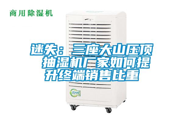 迷失:三座大山壓頂 抽濕機廠家如何提升終端銷售比重