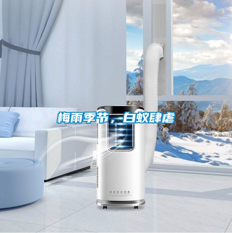 梅雨季節，白蟻肆虐