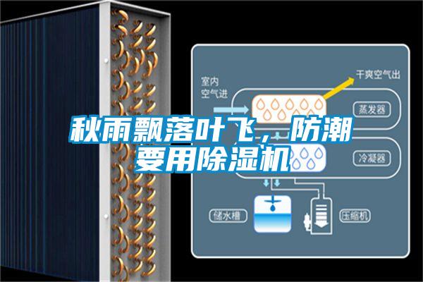 秋雨飄落葉飛，防潮要用除濕機