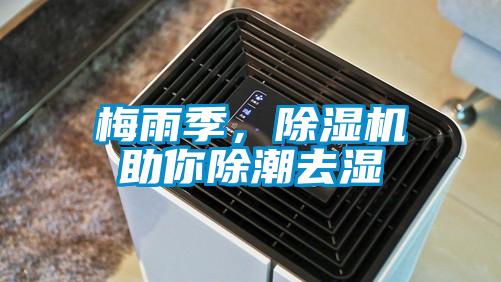 梅雨季,除濕機助你除潮去濕
